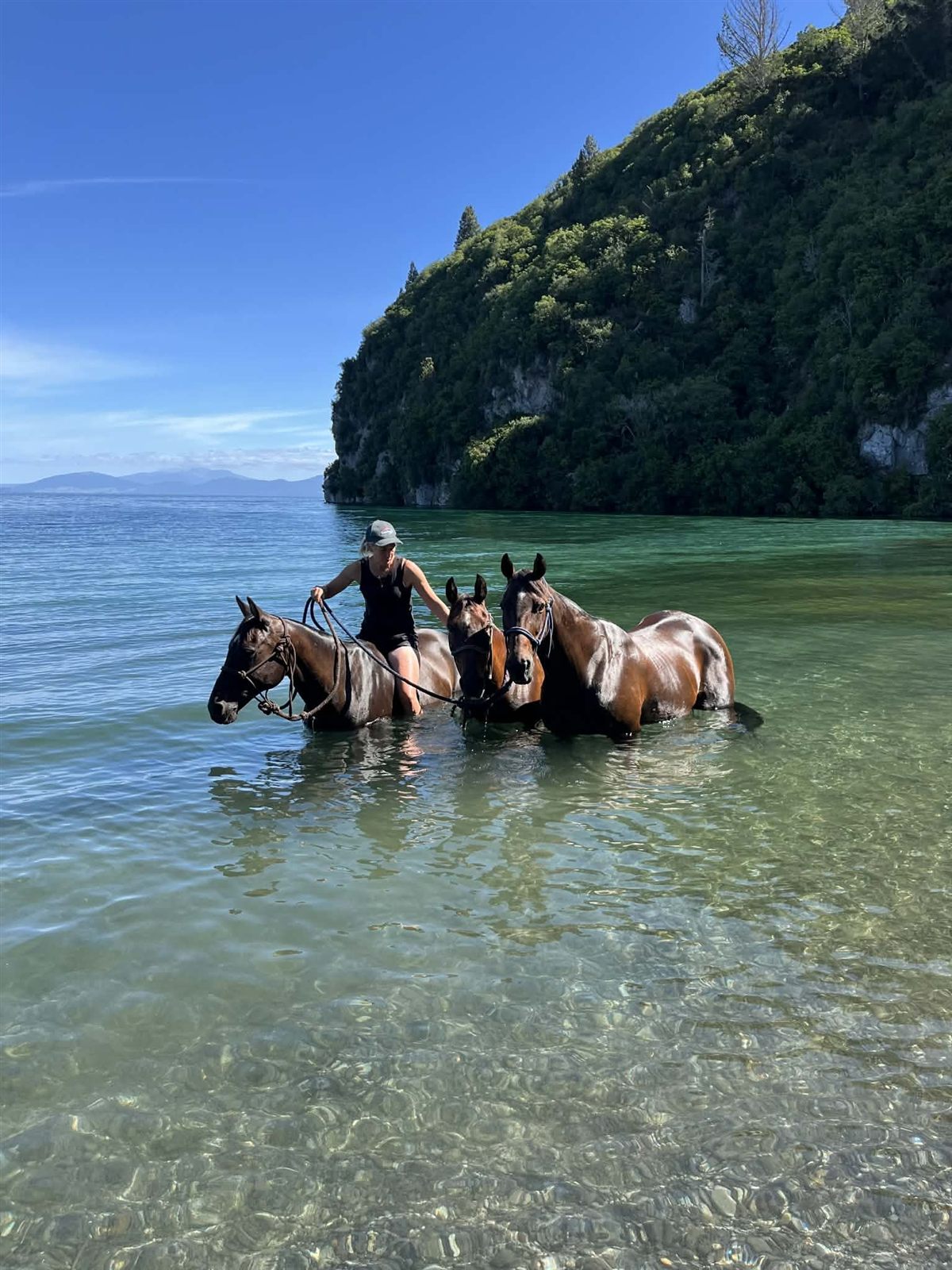 Morag with Swayze, Blitz and Cookie in the lake