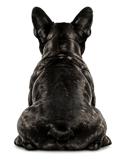 Loading mascot